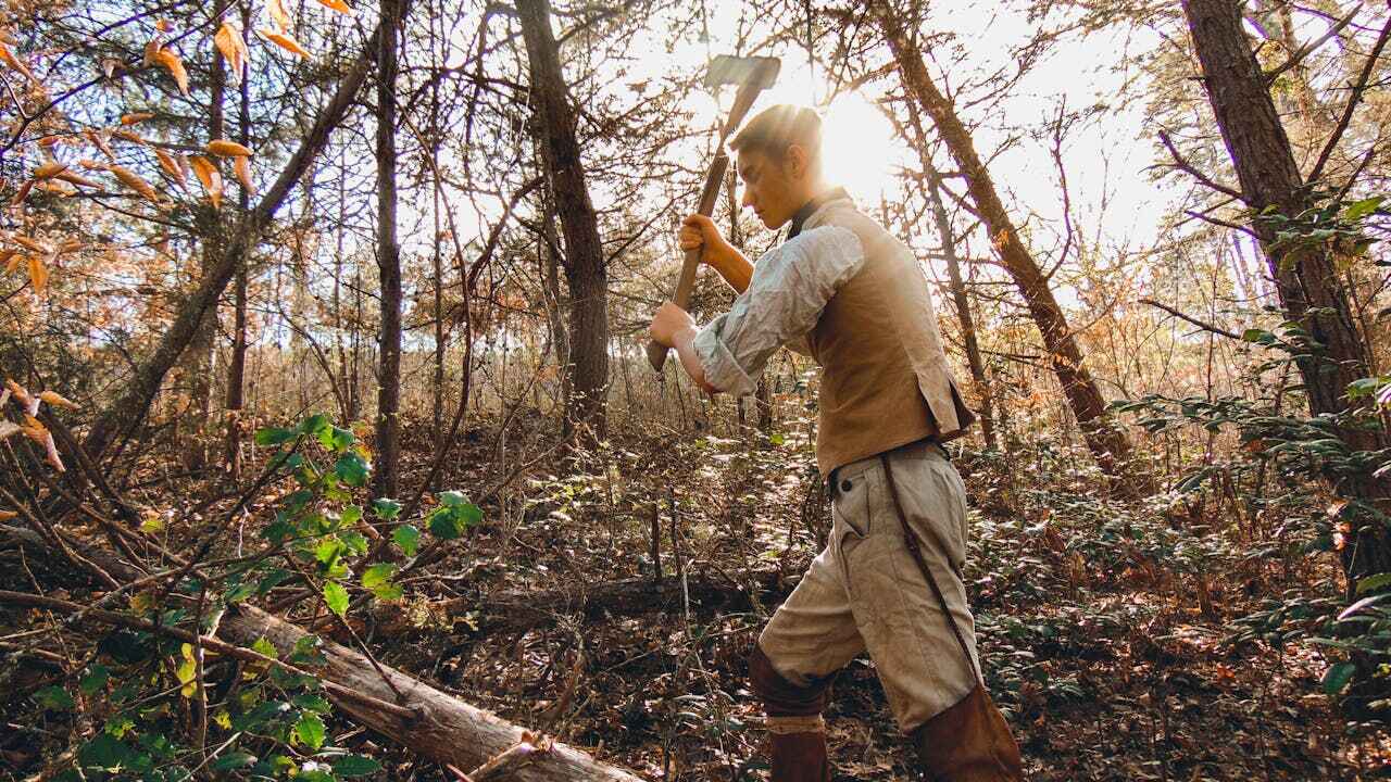 Best Tree Removal Near Me  in Lake Magdalene, FL